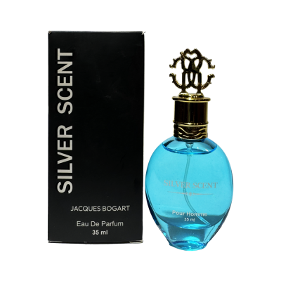 عطر مردانه سیلور سنت برند ویکتوری Silver Scent